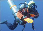 �������̓���~�����