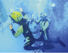 �]���D����̋~����