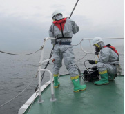 �L�Q�댯�����ւ̑Ή�