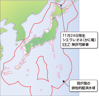 �O�����D�ɂ�鋙�Ɗ֌W�@�߈ᔽ�����󋵁i����29�N�j