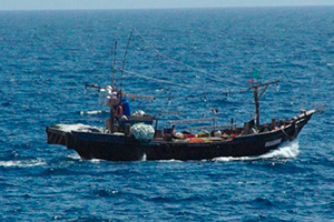 �ދ��x���������čq�s���J�n����k���N���D