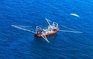 ����r�o����O���D��