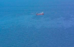 �������͂ɍL�����