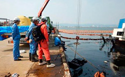 �@���h�����ɂ��w���E������