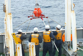 �C�m�h�В�����