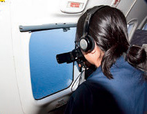 �ΎR�����̗l�q