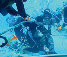 �������C