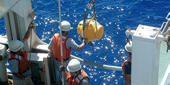 �嗤�I���E��蒲���̎ʐ^