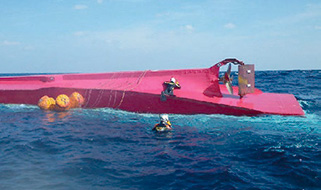 �]���D�̑D��������������҂�{�������m