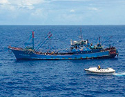 �u閩�W���i�~���V�������E�j5179�v