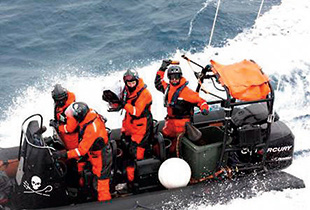 ���������ɑ΂���W�Q����