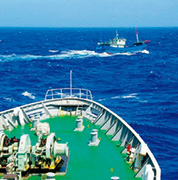 �����T���S���D��ǔ����鏄���D-1