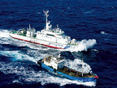 �����T���S���D��ǔ����鏄���D-2