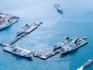 ��p�V���ɌW�����̏����D�i�Ί_�`�j