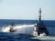 ���������{���鏄���D