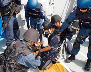 �C�㎩�q���Ƃ̘A�g�P��