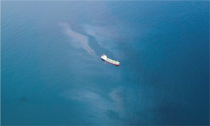 �C��ɍL������̏�