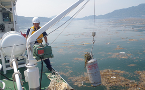 �K�X�{���x�̉��