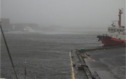 �r�ꋶ���C��