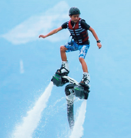 �t���C�{�[�h�i�o�W�FHYDROFLIGHT JAPAN�j