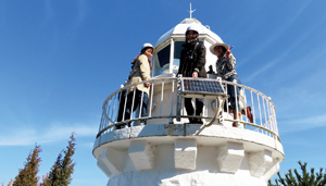 �����ؓ�����i����31�N3��9���j