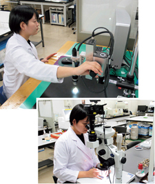 �h���̕\�ʌ���-1