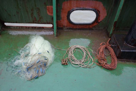 �h�ԗl�̋���