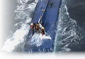 �@���~��m�ɂ��~�����̗l�q