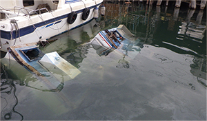 �s�@�ɓ������ꂽ�p�D