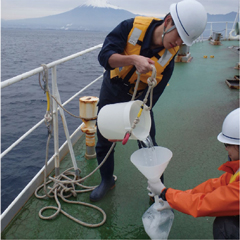 �\�ʍ̐����