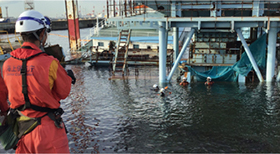 �@���h�����ɂ�钲����