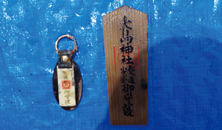 �ԗ������甭�����ꂽ�����