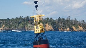 ���������̒Í��������W�i�{�錧��O�������j