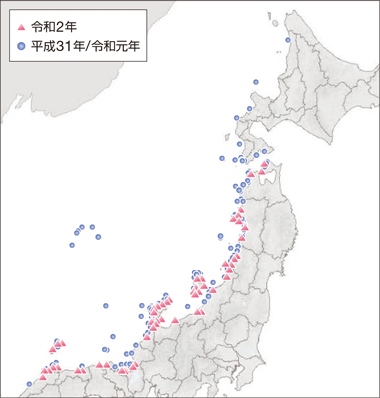 �ߘa2�N�̕Y���E�Y���D�̏�