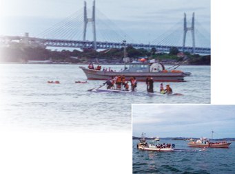 ���q�D�Z������