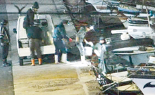 �������ꂽ�Ȃ܂��̐��g����