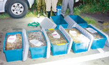 �������ꂽ��ʂ̂Ȃ܂�