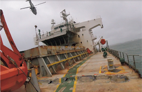 �D�̂ɓ������T��