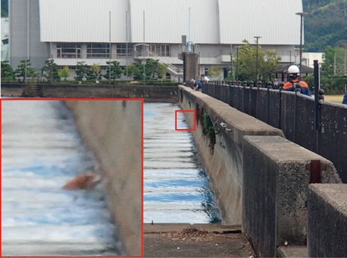 ���̋~����1