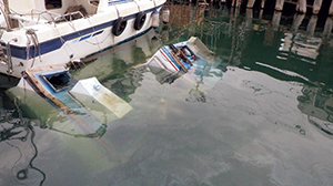 �s�@�ɓ������ꂽ�p�D