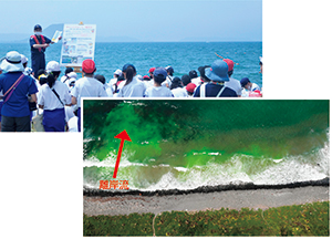 ���ݗ������f���F���Îs��