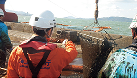 �@���h�����ɂ��w����