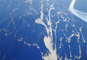 ����{���t�߂�Y������y��