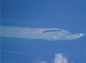 35�N�Ԃ�ɏo�������V��