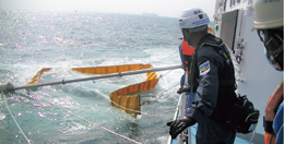 ���h�����@�ނ��g�p�������o���i�͋[�j����̏�