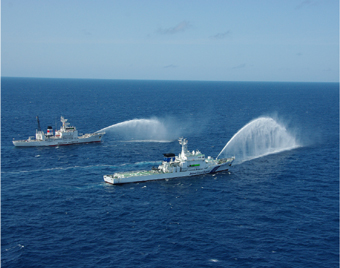 ���Y���Ƃ̍����P���̏�