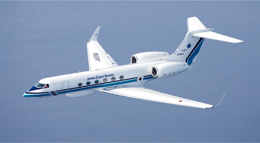 �K���tV�u���݂킵�v