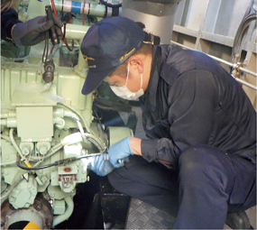 �D���H�����̎ʐ^1