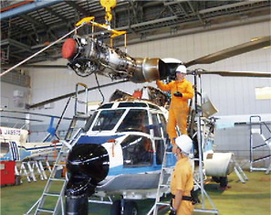 �q�󐮔��m�̎ʐ^2