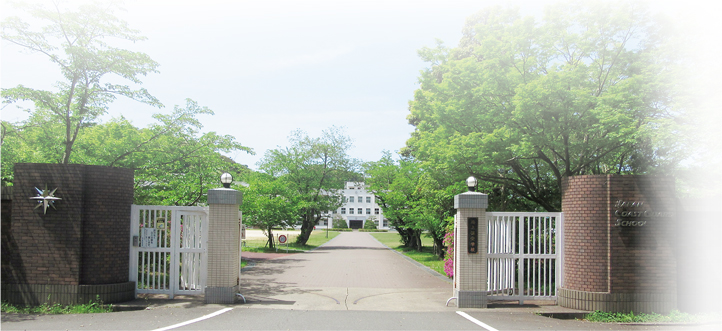 �C��ۈ��w�Z